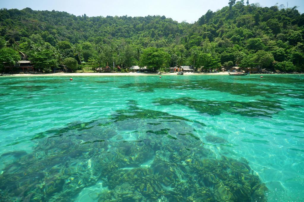 Rantee View Bungalow Islas Phi Phi Exterior foto